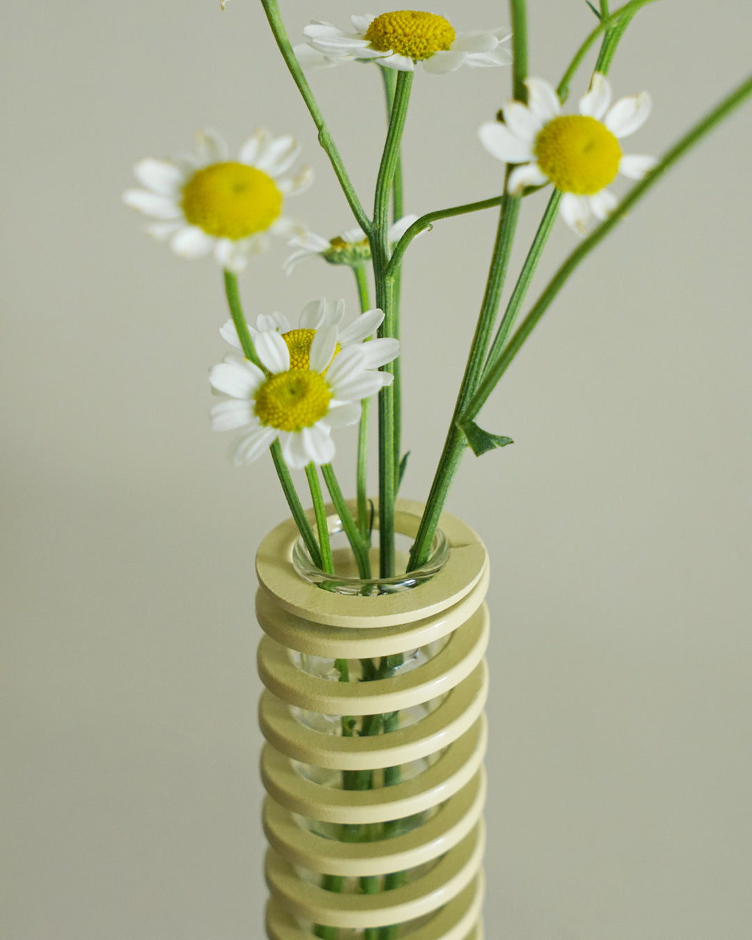 Spring Vase 花器